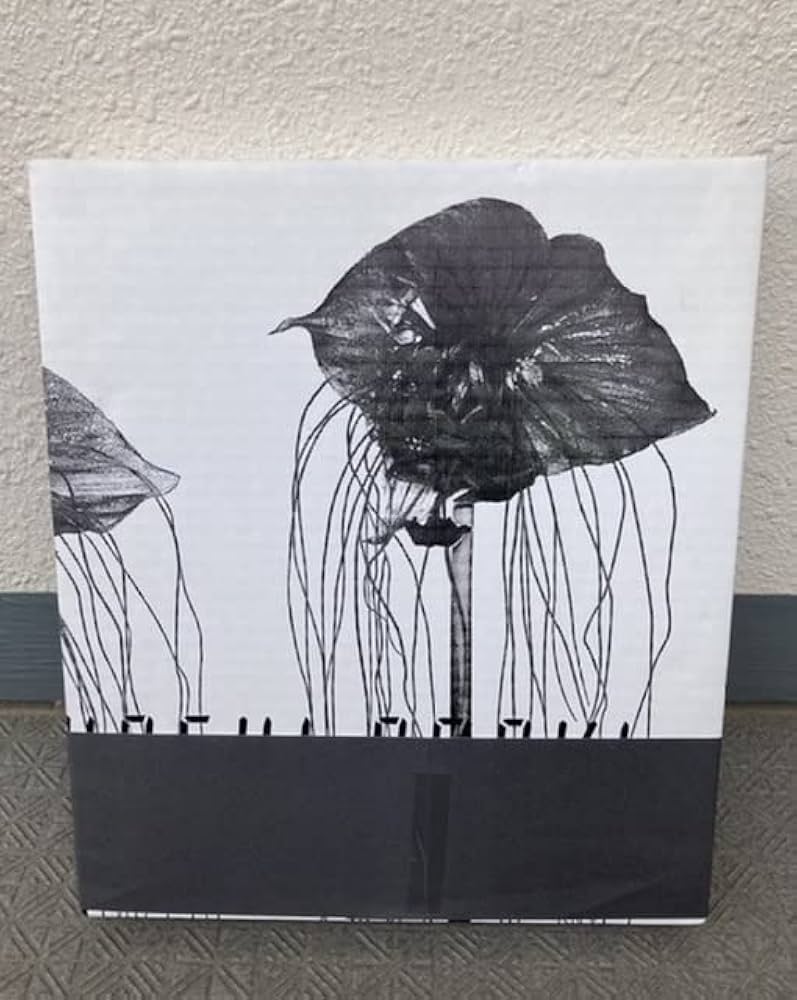 Amazon.co.jp: 愛の花 荒木経惟 アラーキー Araki Nobuyoshi